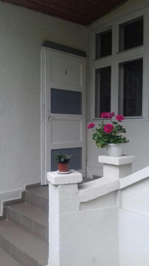 Gelena Гостьовий Двір Uzjhorod Exteriör bild