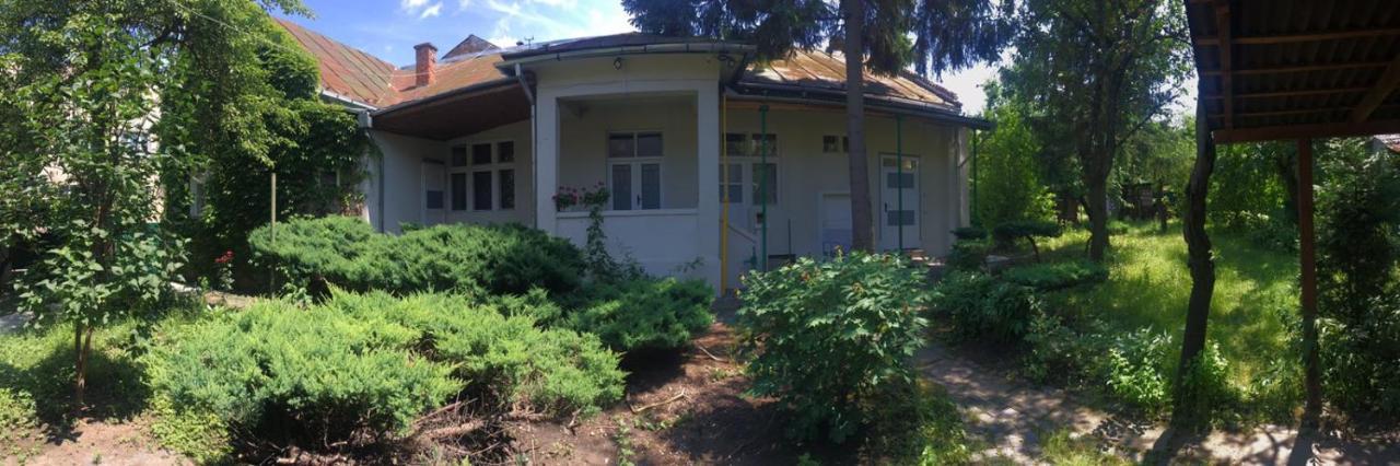 Gelena Гостьовий Двір Uzjhorod Exteriör bild